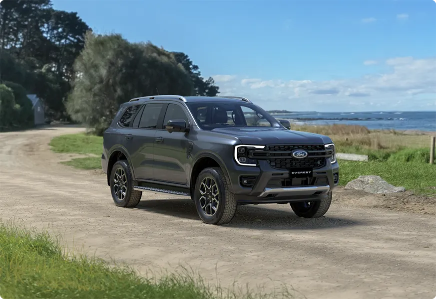 Everest figure and vehicle discount