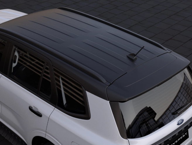 Sport Black Roof 