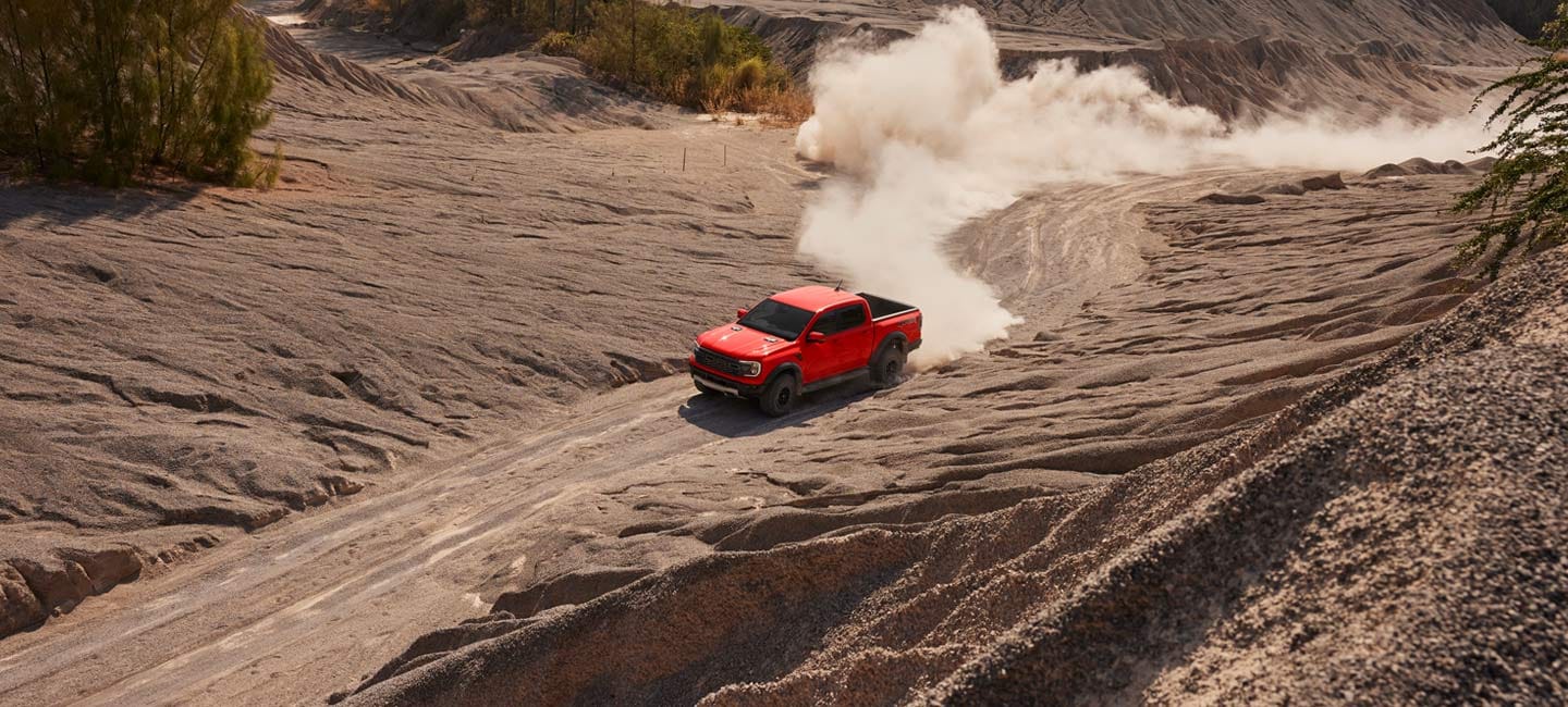 Raptor