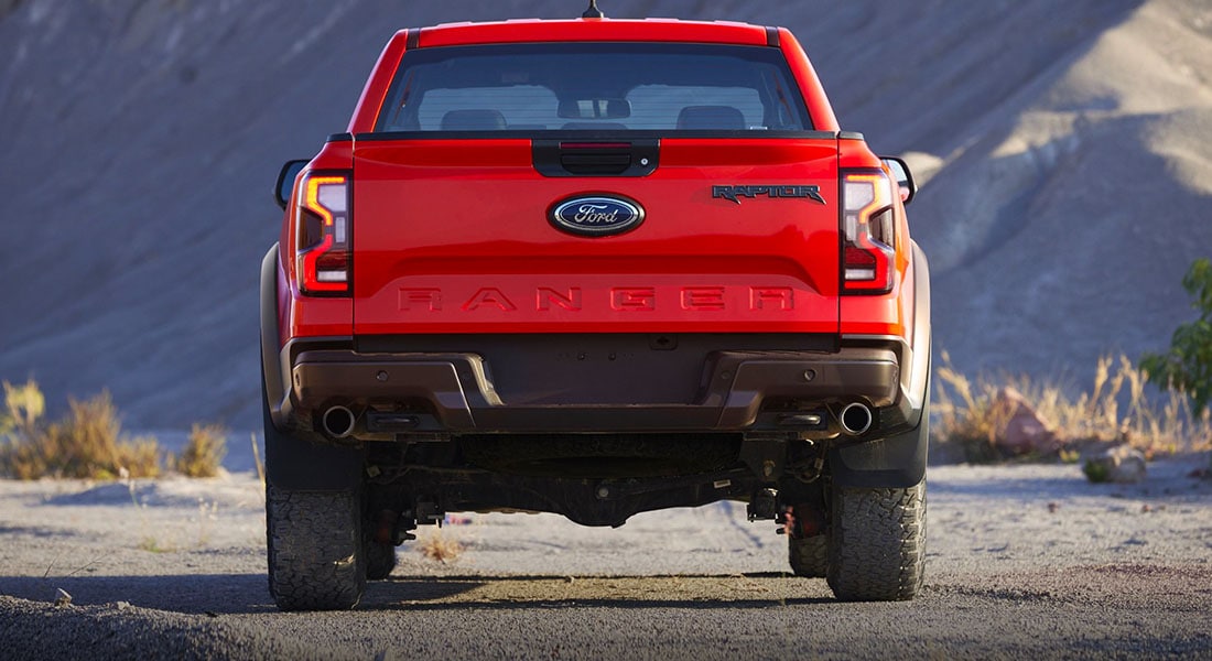 raptor