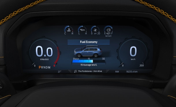 Digital Display