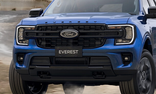 Black grille