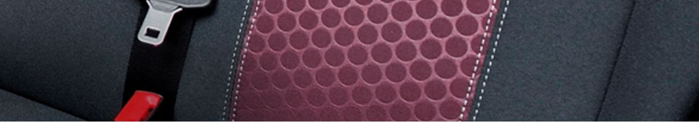 Fastening The Seat Belts