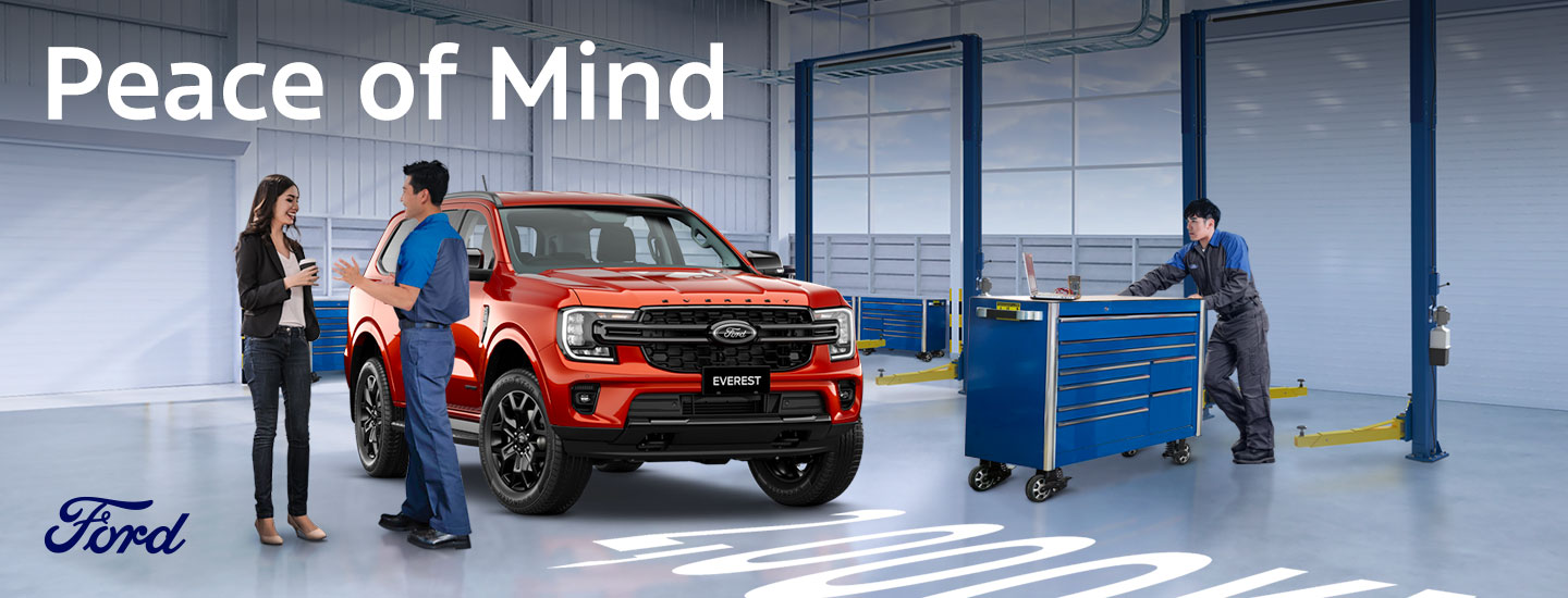 Peace-of-Mind-Banner